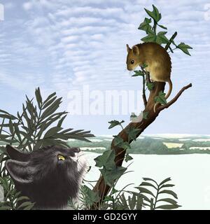 Landscape with cat and mouse Stock Photo