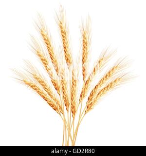 Wheat ears with space for text. EPS 10 Stock Vector