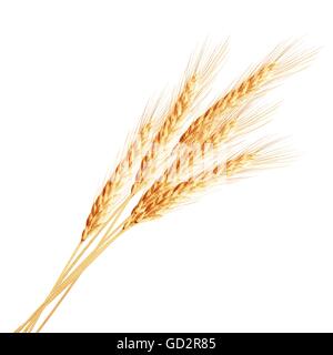 Wheat ears with space for text. EPS 10 Stock Vector