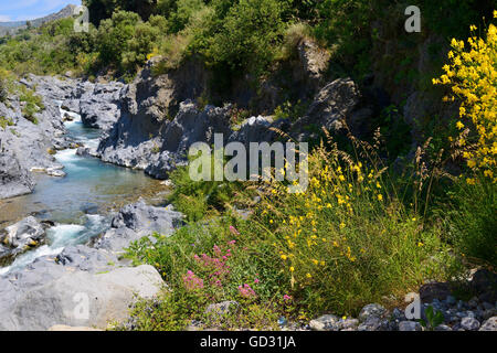 Alcantara Gorge (Gole Alcantara), Sicily, Italy Stock Photo