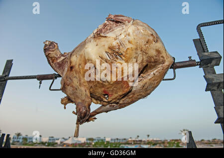 Whole piece of lamb meat on spit roast skewer cooking over barbecue with blue sky background Stock Photo