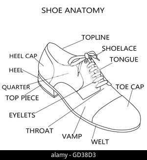 Technical fashion illustration of shoe parts Stock Photo