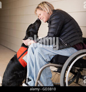 A mature woman wheelchair user with her service dog, a black Labrador, leaning in towards each other. Stock Photo