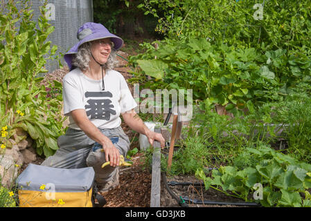 Woman taking a break from harvesting her garden, at the Mirrormont Pea Patch in Issaquah, Washington, USA Stock Photo