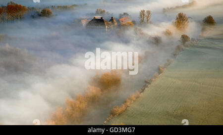 Aerial view, Castle Oberwerries, morning fog over der Lippe. Lippe water meadows, sunrise over Hamm, Aerial view of Hamm, Ruhr Stock Photo