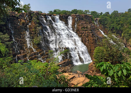 Bastar forest hi-res stock photography and images - Alamy