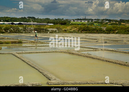 Breton salt marshes with Paludier scraping sea salt from the lagoons in Saille near Guerande, La Baule, Brittany, France Stock Photo