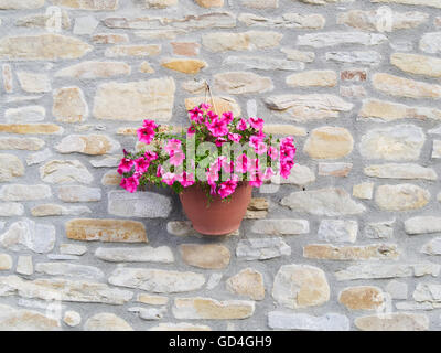 Bowl of purple (petunia) hanging from a rough stone wall of a country house made with uncut sandstones rocks and concrete Stock Photo