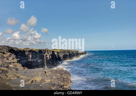 Landscape with bushes of grass on volcanic soil Big Island . Hawaii. USA Stock Photo