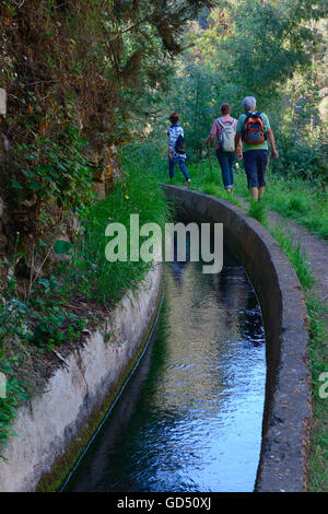 Wanderer entlang einer Levada, Wasserkanal, Lavada do Norte, Madeira, Portugal, Europa Stock Photo