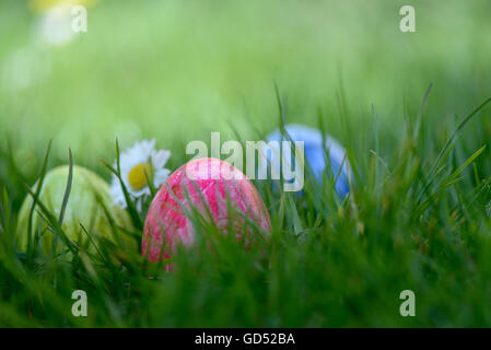 Easter Eggs in grass Stock Photo