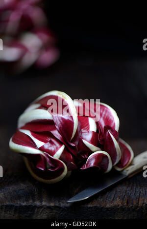 Radicchio und Kuechenmesser, Radicchio Rosso di Treviso, Cichorium intybus var. foliosum, roter Chicoree Stock Photo