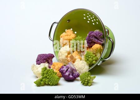 cauliflower in colander Stock Photo