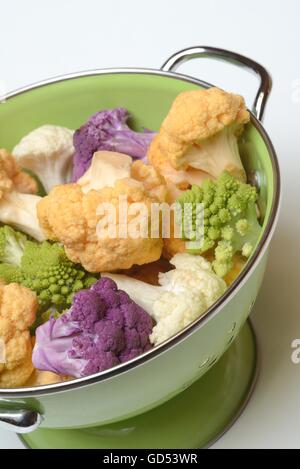 cauliflower in colander Stock Photo