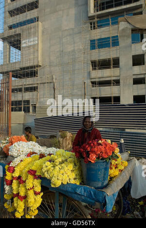 Flower seller Stock Photo