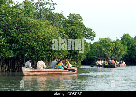 PICHAVARAM MANGROVE FORESTS Stock Photo - Alamy