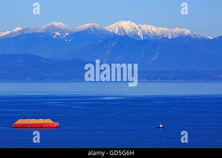 Tugboat towing barge full of wood chips for pulp mill, near Nanaimo, Georgia Strait, Vancouver Island, British Columbia Stock Photo
