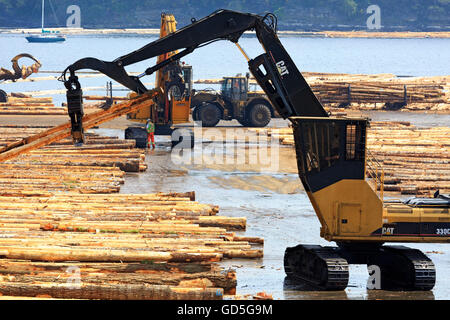 Loader sorting logs at sawmill, Ladysmith, Vancouver Island, British ...