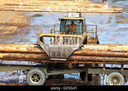 Loader unoading logging truck at sawmil, Ladysmith, Vancouver Island, British Columbia Stock Photo