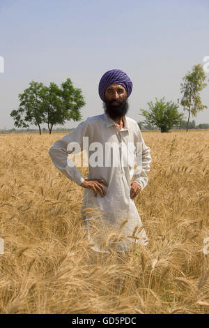 1 Indian farmer standing in farms and talking Stock Photo - Alamy