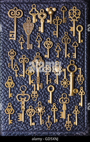steampunk old vintage metal keys background on leather Stock Photo