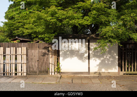 A Japanese garden with a big green maple tree, bamboo fence and white wall Stock Photo