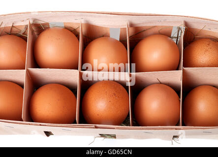 Brown eggs in eco box. Isolated on white background. View from above. Stock Photo
