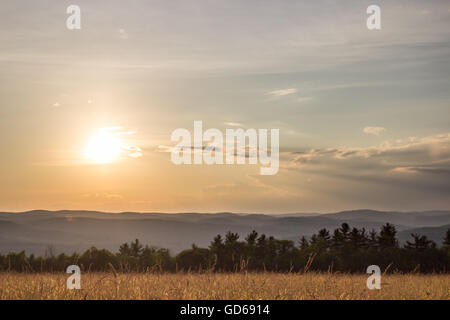 Sunset over Grassy Meadow with Mountain View Stock Photo