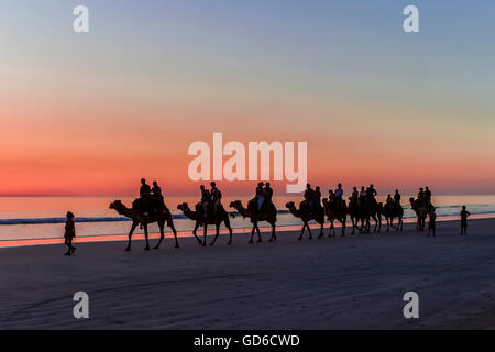 Camel rides at sunset on Cable Beach in Broome, Western Australia Stock Photo