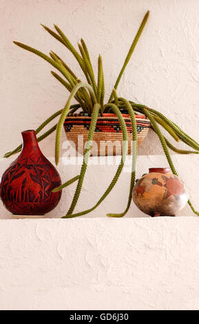 Aporocactus, Rat Tail Cactus,Disocactus flagelliformis Stock Photo