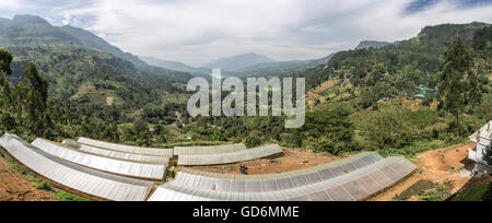 The spectacular view from the Thuruliya Coffee Shop, near Nuwara Eliya, Sri Lanka on the A5 road to Kandy. Stock Photo