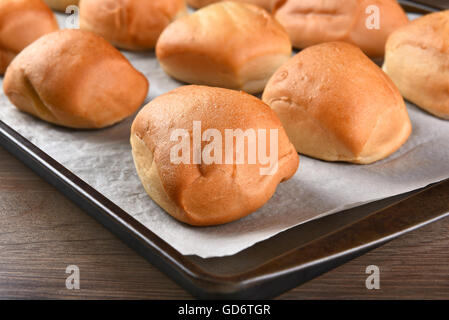 Closeup of fresh baked dinner rolls on a baking sheet lined with parchment paper. Shallow depth of field. Stock Photo