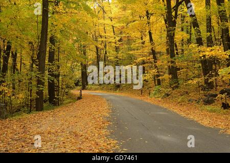 Autumn Colors Along a Rural Road in Devils Lake State Park near Baraboo, Wisconsin Stock Photo