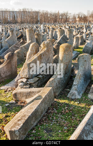 Fallen gravestones of the ancient Jewish cemetery at sunset Stock Photo