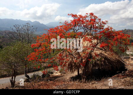 the landscape at the village of Lantam in the south of East Timor in southeastasia. Stock Photo