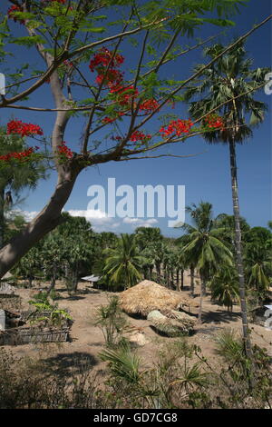 the landscape at the village of Lantam in the south of East Timor in southeastasia. Stock Photo