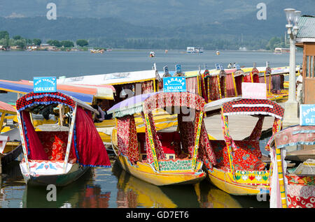 Shikara, rowing boat on Dal Lake, Srinagar, India, Stock Photo