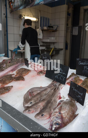 A variety of freshly caught fish for sale at the Etals de Poissons / fish market. Boulogne-Sur-Mer, France. Stock Photo