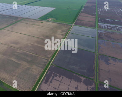 Flooded rice paddies. Agronomic methods of growing rice in the fields. Flooding the fields with water in which rice sown. View f Stock Photo