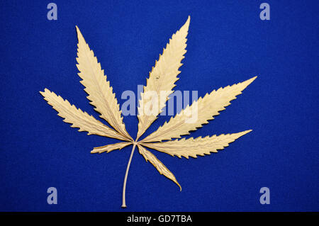 hemp leaf over blue cloth Stock Photo