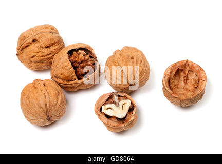 Walnuts isolated on white background Stock Photo