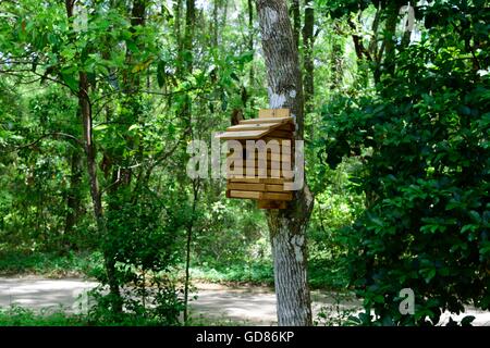 Wooden Bird House on a Tree in the Butterfly Garden at Florida State Park Stock Photo