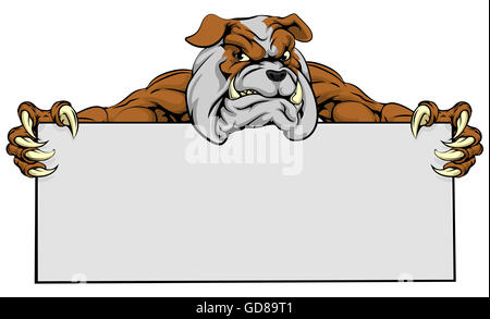 A mean looking bulldog dog mascot holding a sign Stock Photo