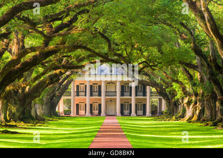 Oak Alley Plantation in Vacherie, Louisiana, USA. Stock Photo