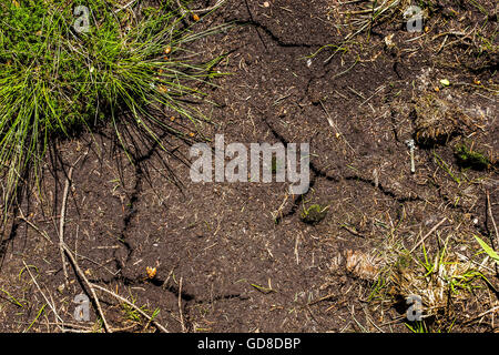 Big cracks on the earth, ground texture. Stock Photo