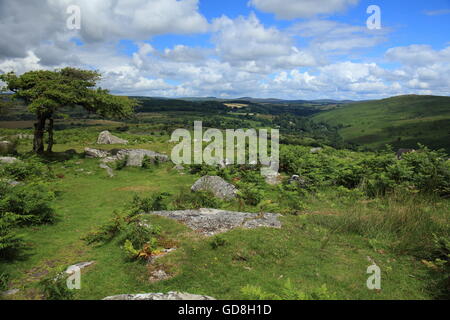 View from of Dart gorge from Combestone tor towards Dartmeet, Dartmoor national park, Devon, England, UK Stock Photo