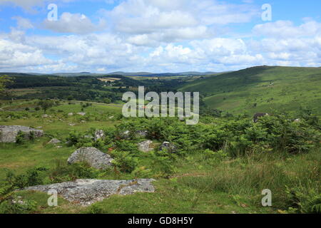 View from of Dart gorge from Combestone tor towards Dartmeet, Dartmoor national park, Devon, England, UK Stock Photo