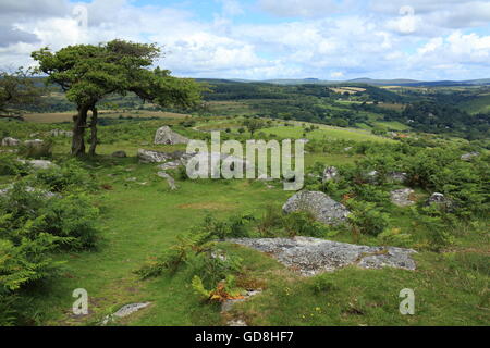 View from of Dart gorge from Combestone tor towards Dartmeet, Dartmoor national park, Devon, England, UK Stock Photo