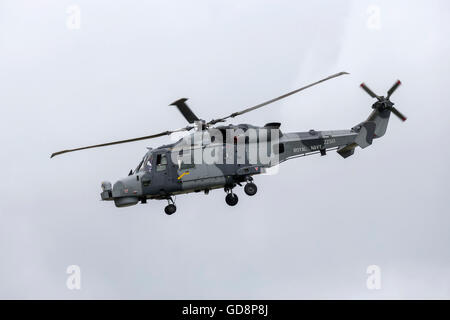 Augusta Westland Wildcat Stock Photo