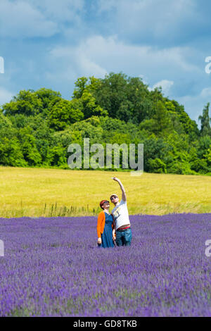 Lordington Lavender Farm, Lordington, Chichester, West Sussex, UK. 13 July, 2016. Visitors enjoy the lavender on an Open Day at Lordington Lavender Farm. Couple taking a selfie Stock Photo